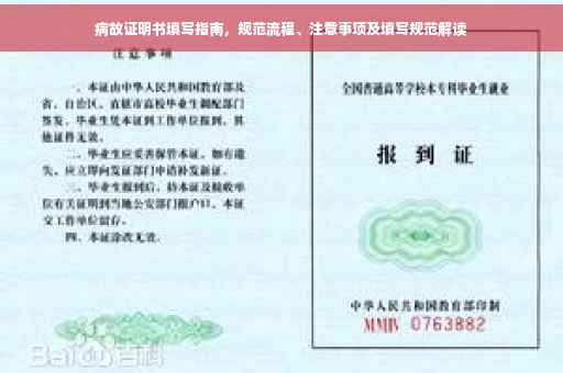 病故证明书填写指南，规范流程、注意事项及填写规范解读