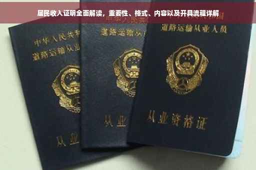 居民收入证明全面解读，重要性、格式、内容以及开具流程详解