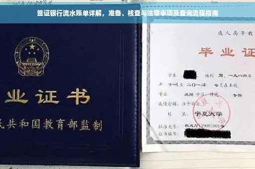 签证银行流水账单详解，准备、核查与注意事项及查询流程指南