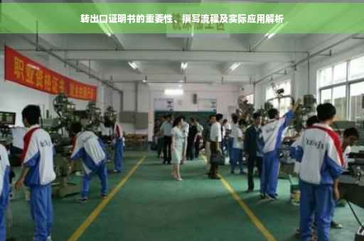转出口证明书的重要性、撰写流程及实际应用解析