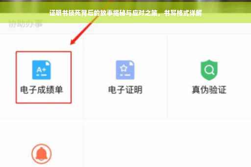 证明书锁死背后的故事揭秘与应对之策，书写格式详解