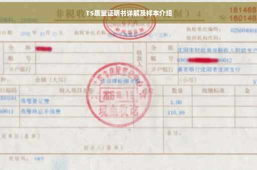 TS质量证明书详解及样本介绍