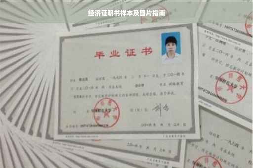 经济证明书样本及图片指南