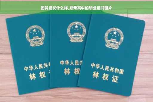 团员证长什么样,郑州高中的毕业证书图片