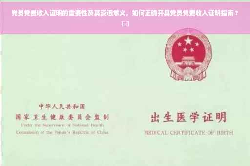 党员党费收入证明的重要性及其深远意义，如何正确开具党员党费收入证明指南 ?⚡️