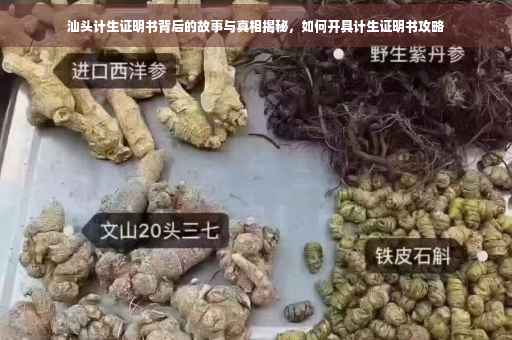 汕头计生证明书背后的故事与真相揭秘，如何开具计生证明书攻略