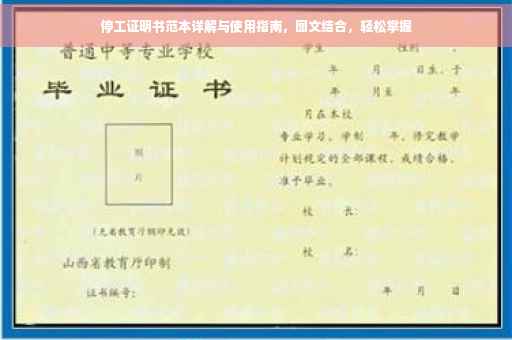 停工证明书范本详解与使用指南，图文结合，轻松掌握