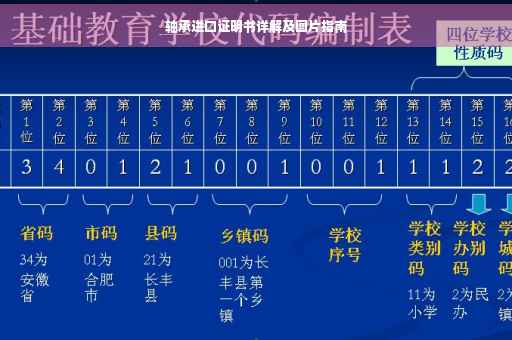 轴承进口证明书详解及图片指南