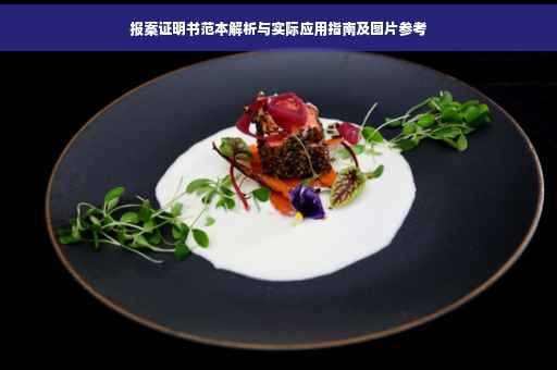 报案证明书范本解析与实际应用指南及图片参考
