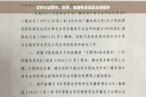 文件与证明书，区别、重要性及实际应用解析