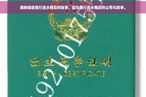 揭秘娄底银行流水背后的故事，探究银行流水背后的公司与故事。