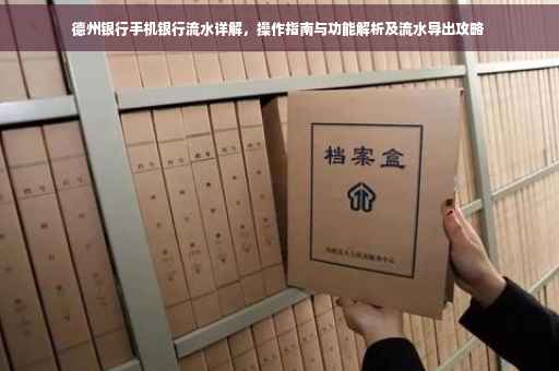 德州银行手机银行流水详解，操作指南与功能解析及流水导出攻略