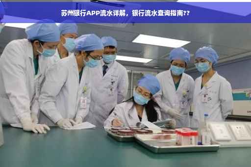 苏州银行APP流水详解，银行流水查询指南??