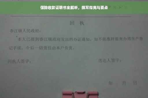 保险收款证明书全解析，撰写指南与要点