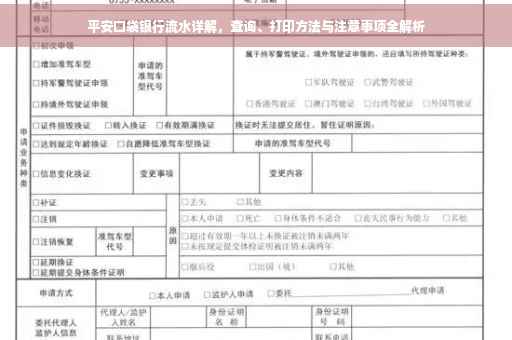 平安口袋银行流水详解，查询、打印方法与注意事项全解析