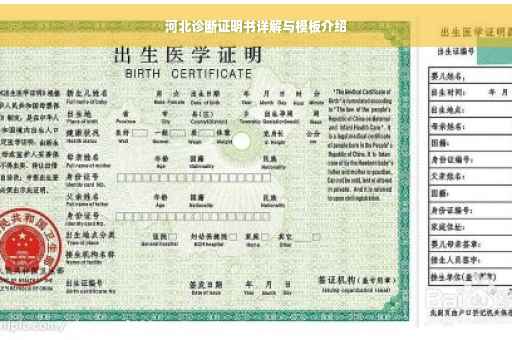 河北诊断证明书详解与模板介绍