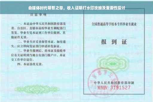 自媒体时代明智之举，收入证明打水印攻略及重要性探讨