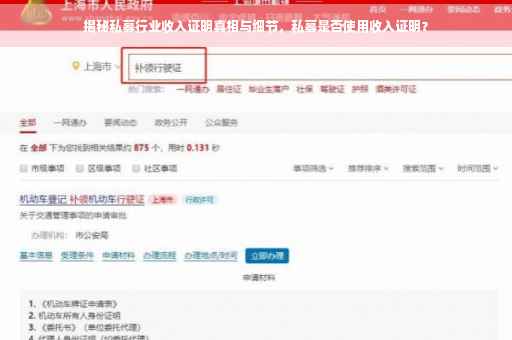 揭秘私募行业收入证明真相与细节，私募是否使用收入证明？