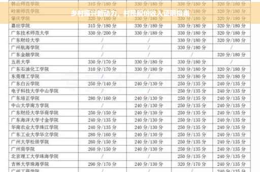 乡村振兴新动力，村民股份收入证明指南