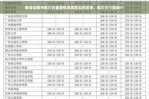 修业证明书照片的重要性及其背后的故事，照片尺寸揭秘??