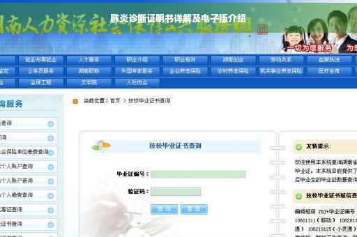 肺炎诊断证明书详解及电子版介绍