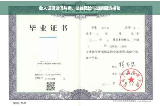 收入证明造假购房，法律风险与道德困境揭秘