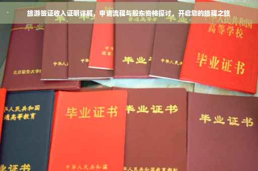 旅游签证收入证明详解，申请流程与股东资格探讨，开启您的旅程之旅