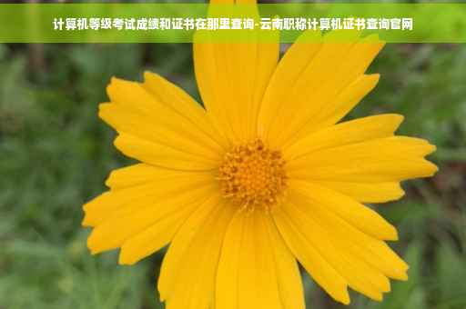 计算机等级考试成绩和证书在那里查询-云南职称计算机证书查询官网