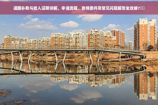 遗属补助与收入证明详解，申请流程、资格条件及常见问题解答全攻略?⚡️