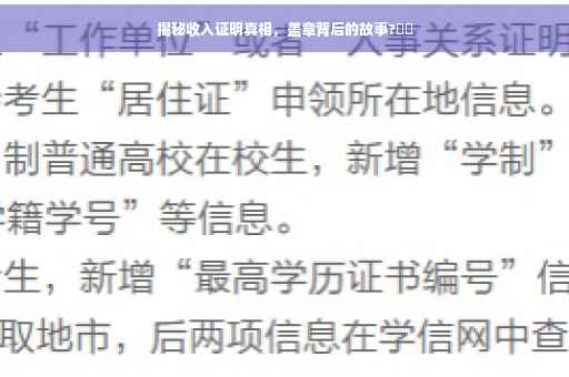 揭秘收入证明真相，盖章背后的故事?⚡️