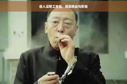 收入证明工资低，现实挑战与影响