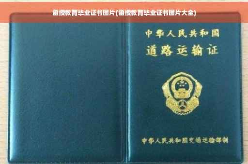 函授教育毕业证书图片(函授教育毕业证书图片大全)