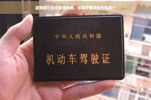 湖南银行流水查询攻略，详细步骤及操作指南??