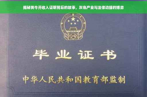 揭秘黄牛开收入证明背后的故事，灰色产业与法律边缘的博弈