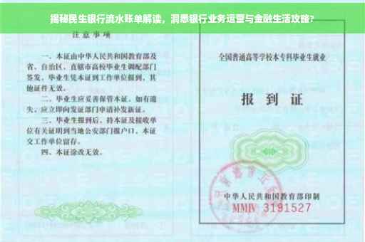 揭秘民生银行流水账单解读，洞悉银行业务运营与金融生活攻略?