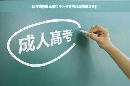 揭秘银行流水带银行公章背后的真相与重要性