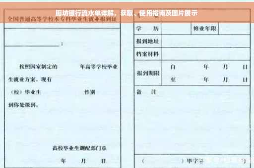 廊坊银行流水单详解，获取、使用指南及图片展示