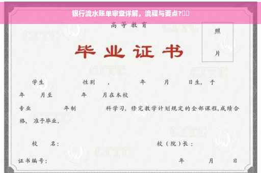 银行流水账单审查详解，流程与要点?⚡️