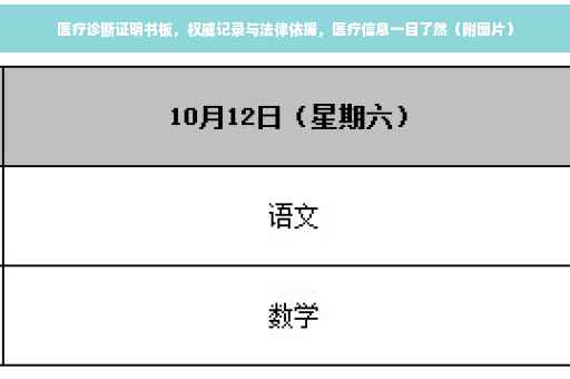 医疗诊断证明书板，权威记录与法律依据，医疗信息一目了然（附图片）
