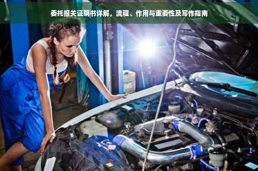 委托报关证明书详解，流程、作用与重要性及写作指南