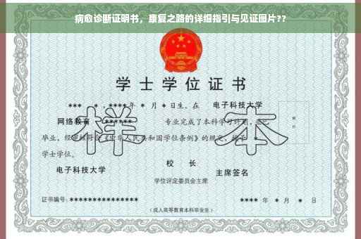 病愈诊断证明书，康复之路的详细指引与见证图片??