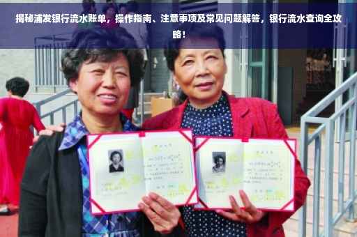 揭秘浦发银行流水账单，操作指南、注意事项及常见问题解答，银行流水查询全攻略！