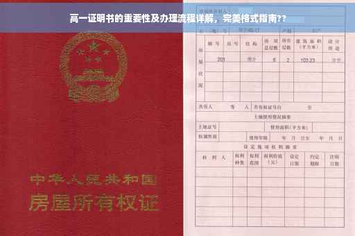 高一证明书的重要性及办理流程详解，完美格式指南??