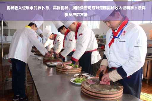 揭秘收入证明中的萝卜章，真相揭秘、风险预警与应对策略揭秘收入证明萝卜章真相及应对方法
