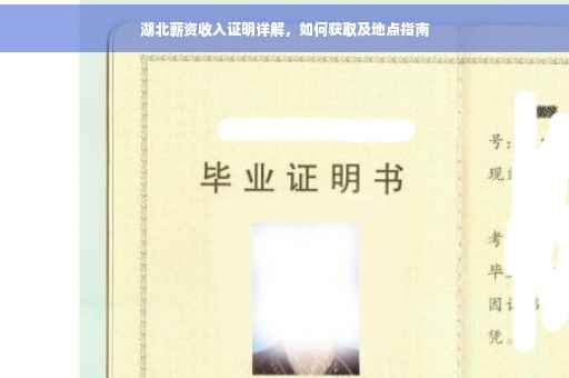 湖北薪资收入证明详解，如何获取及地点指南