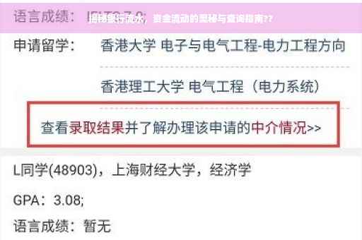 揭秘银行流水，资金流动的奥秘与查询指南??