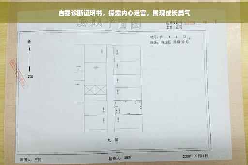 自我诊断证明书，探索内心迷宫，展现成长勇气