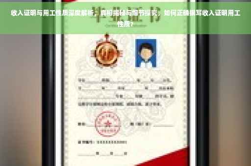 收入证明与用工性质深度解析，真相揭秘与细节探究，如何正确撰写收入证明用工性质？