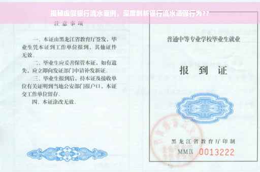 揭秘虚假银行流水案例，深度剖析银行流水造假行为??
