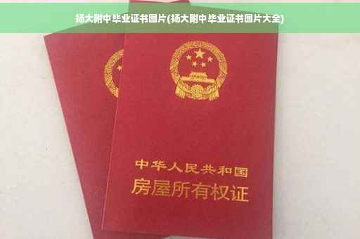 扬大附中毕业证书图片(扬大附中毕业证书图片大全)